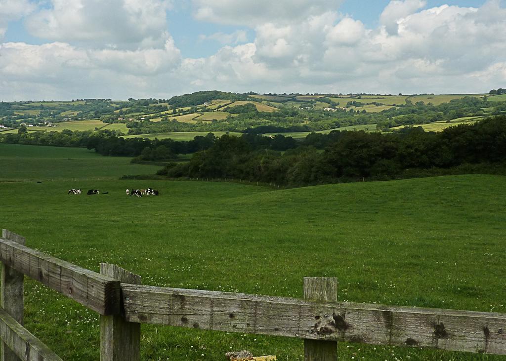 The Black Dog Inn Broadmayne المظهر الخارجي الصورة