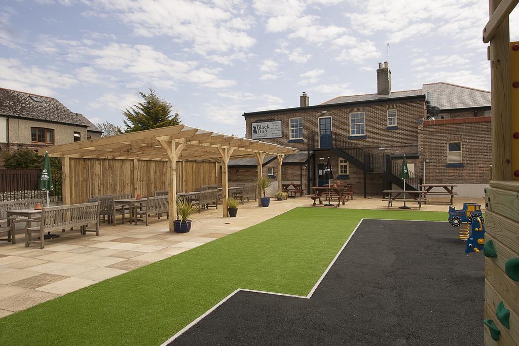 The Black Dog Inn Broadmayne المظهر الخارجي الصورة